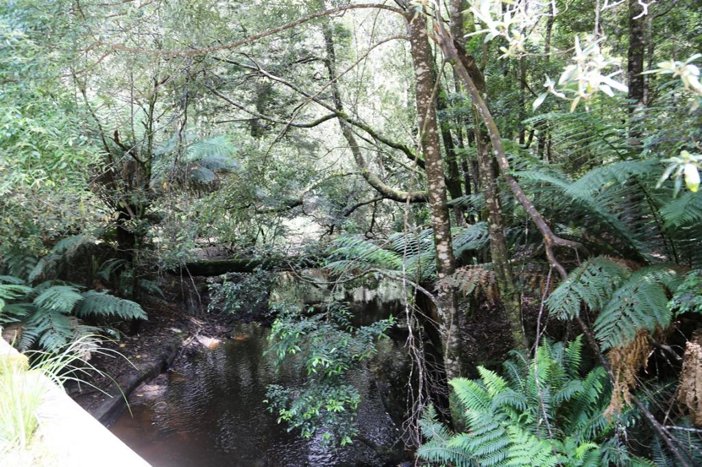 1 Croles Rd, Trowutta, TAS 7330