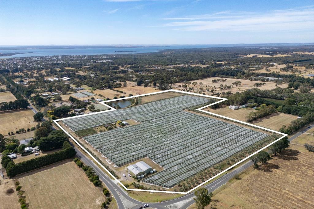 191 Coolart Rd, Hastings, VIC 3915