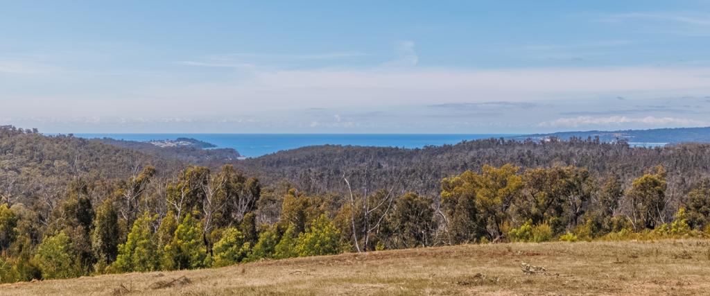 76 Silver Top Crescent, Nullica Via, Eden, NSW 2551