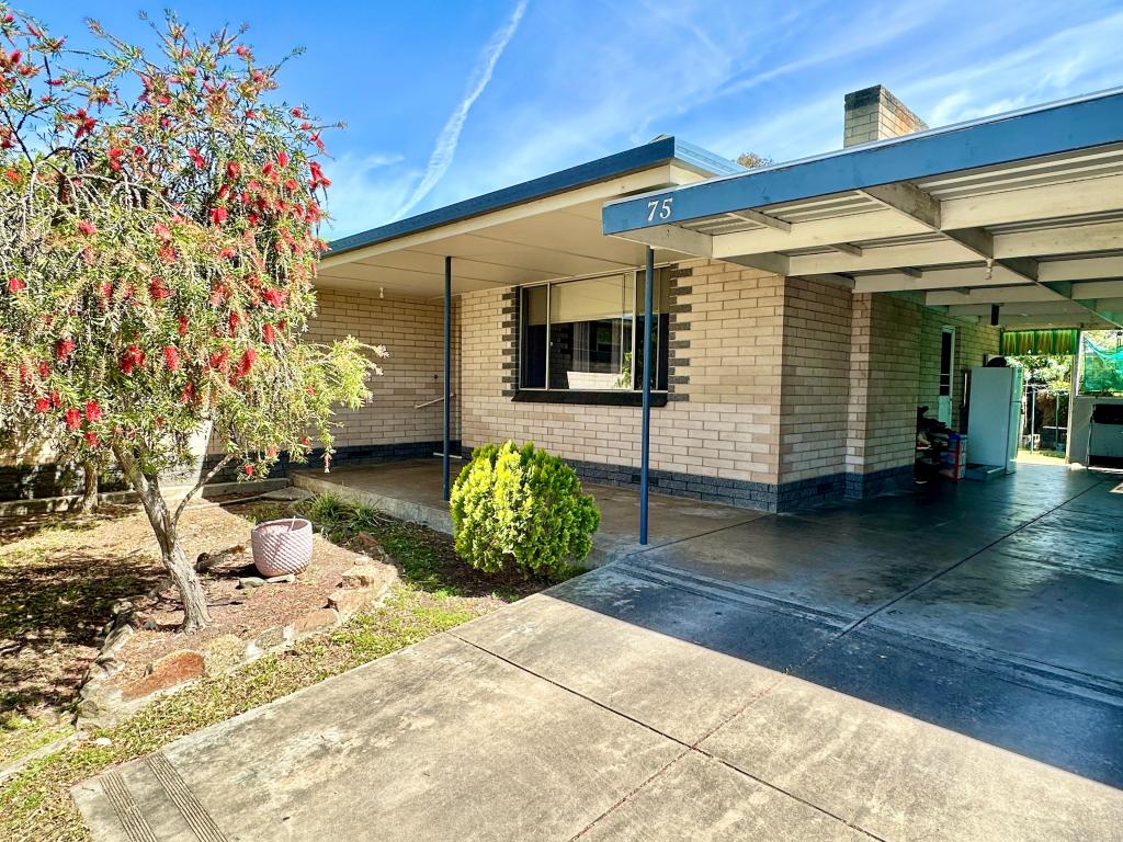 75 Venn Ave, Bordertown, SA 5268