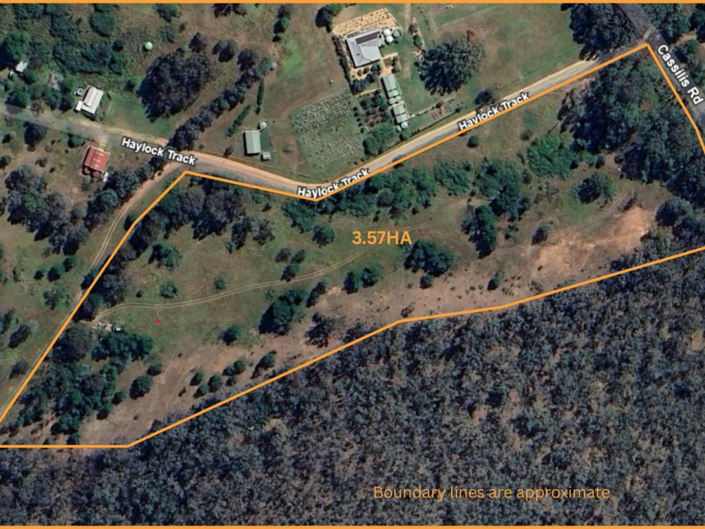 29 Haylock Trk, Swifts Creek, VIC 3896