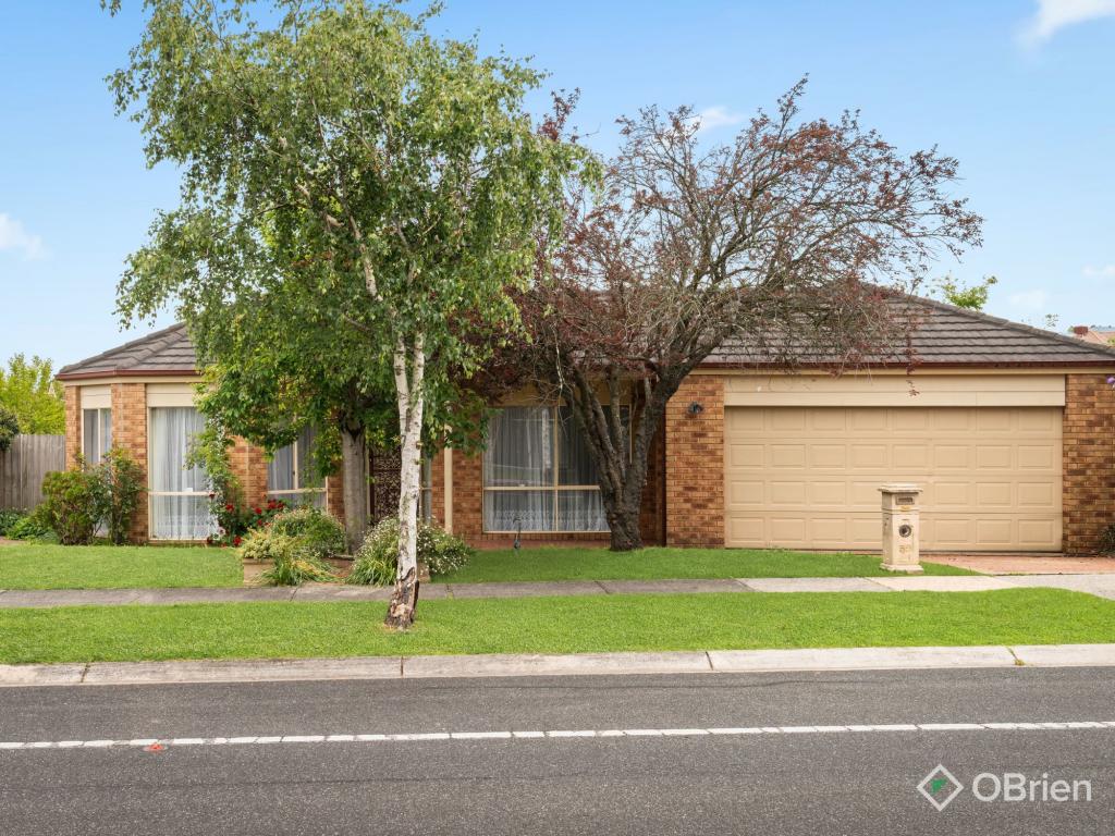 59 Melville Park Dr, Berwick, VIC 3806