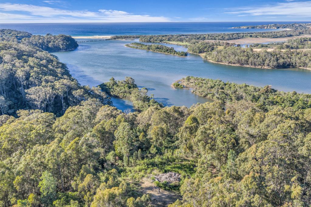 Lot 3 Goats Knob Rd, Chinnock, NSW 2550