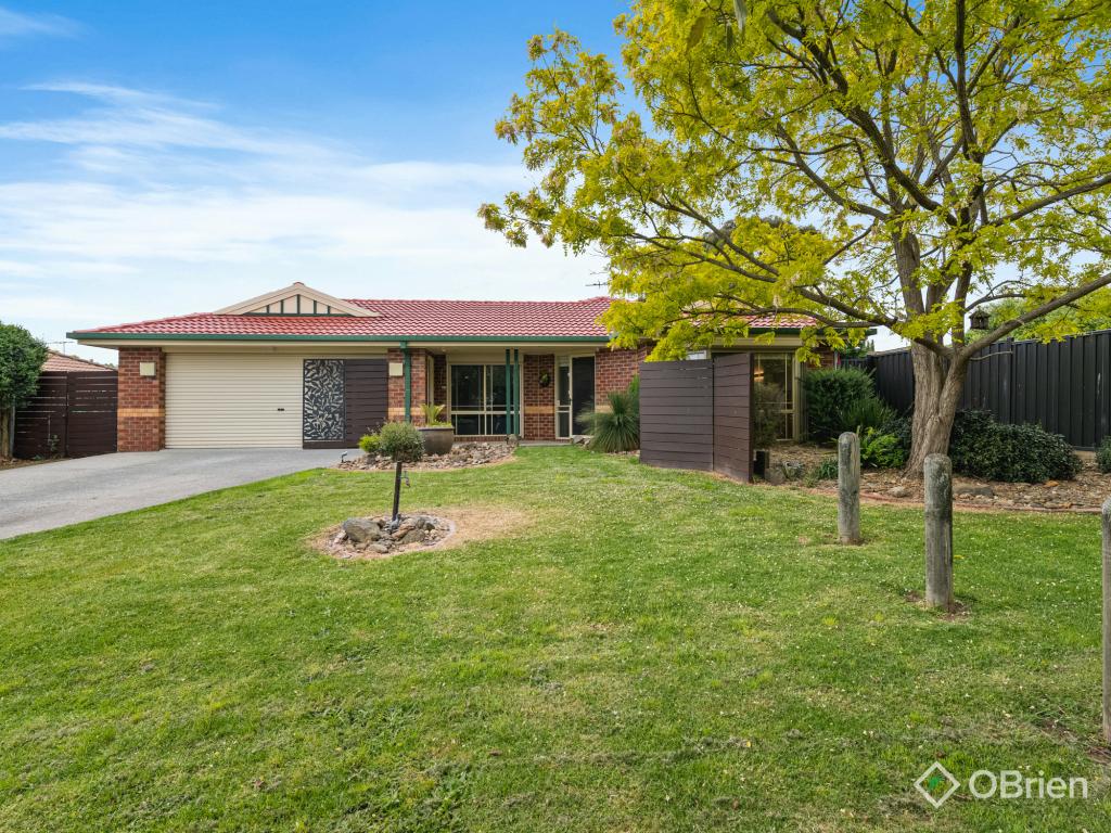 11 Vance Ct, Narre Warren, VIC 3805