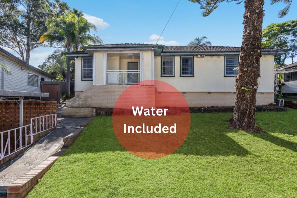 61 Devlin St, Ashcroft, NSW 2168