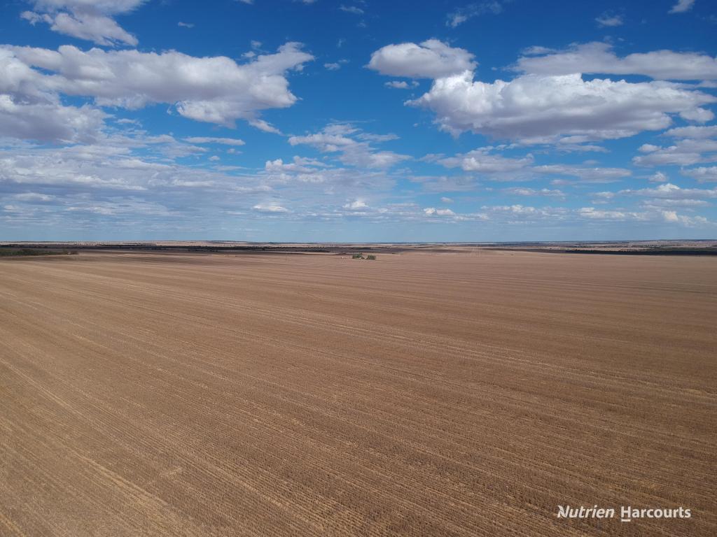 . Mcroberts Rd, Tenindewa, WA 6632