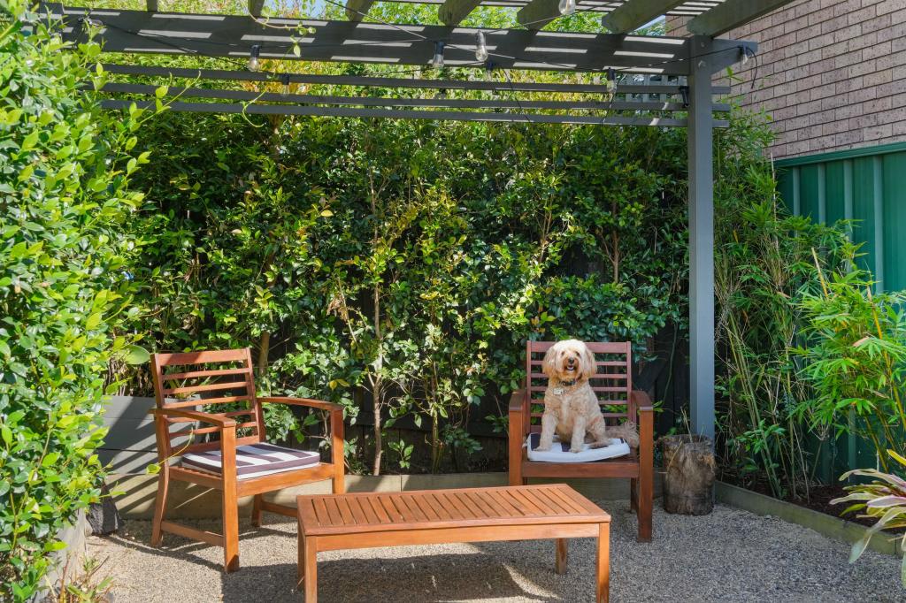 48 Church St, Canterbury, NSW 2193