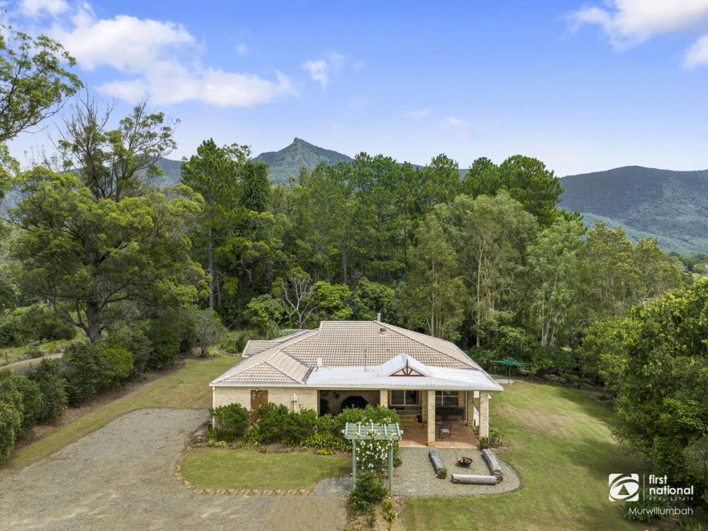 346 Pinnacle Rd, Pumpenbil, NSW 2484