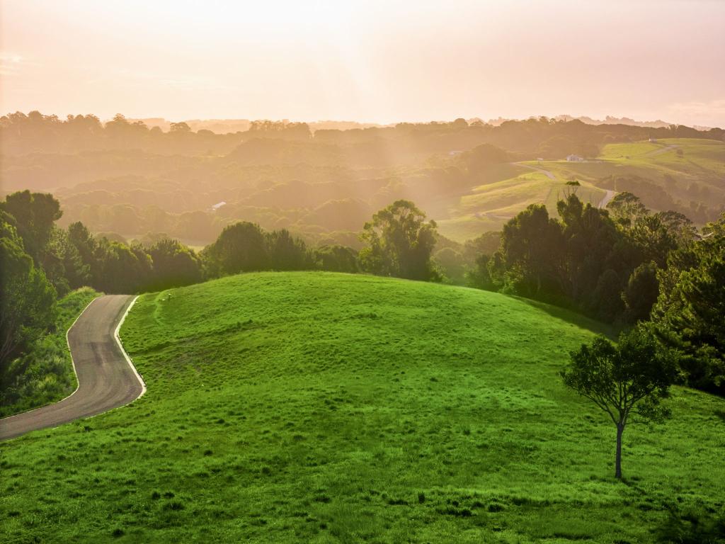 111 Fowlers Lane, Bangalow, NSW 2479