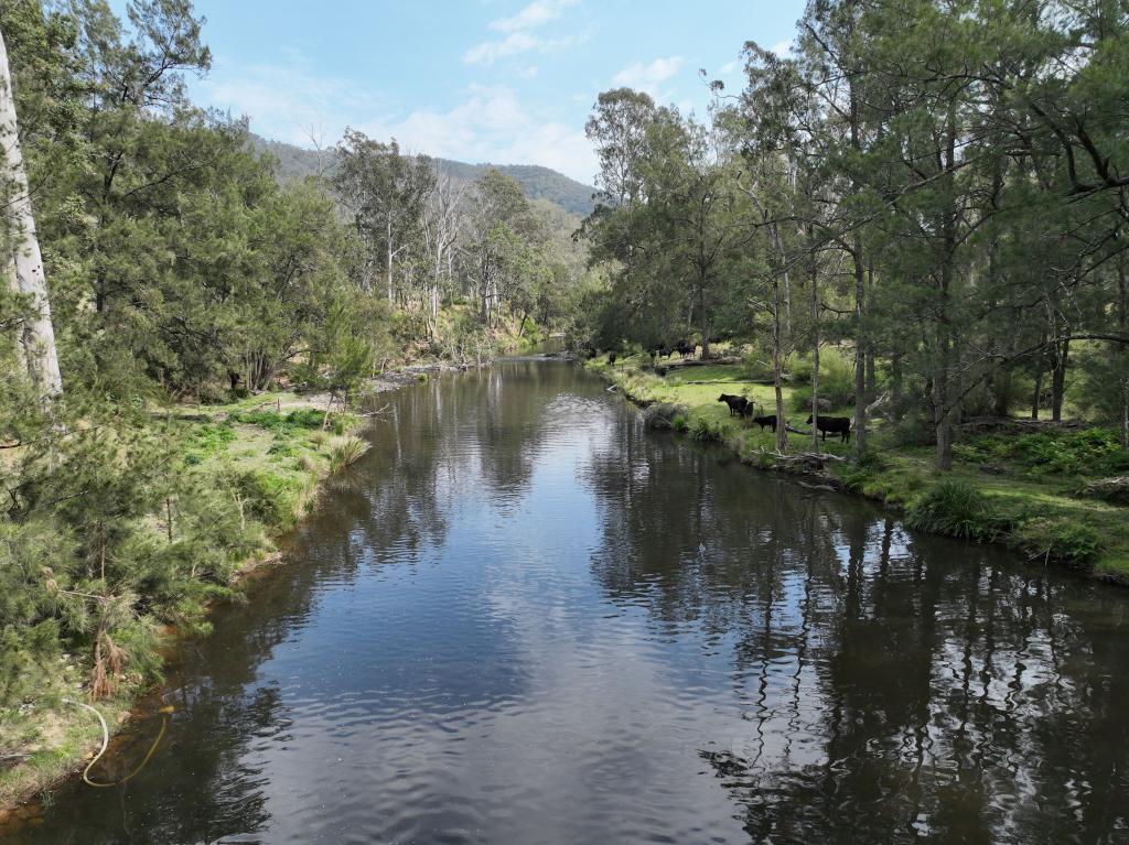 100 Moogem Fitr, Moogem, NSW 2370