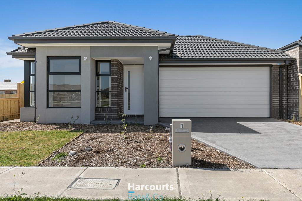 1 Coronidium St, Beveridge, VIC 3753