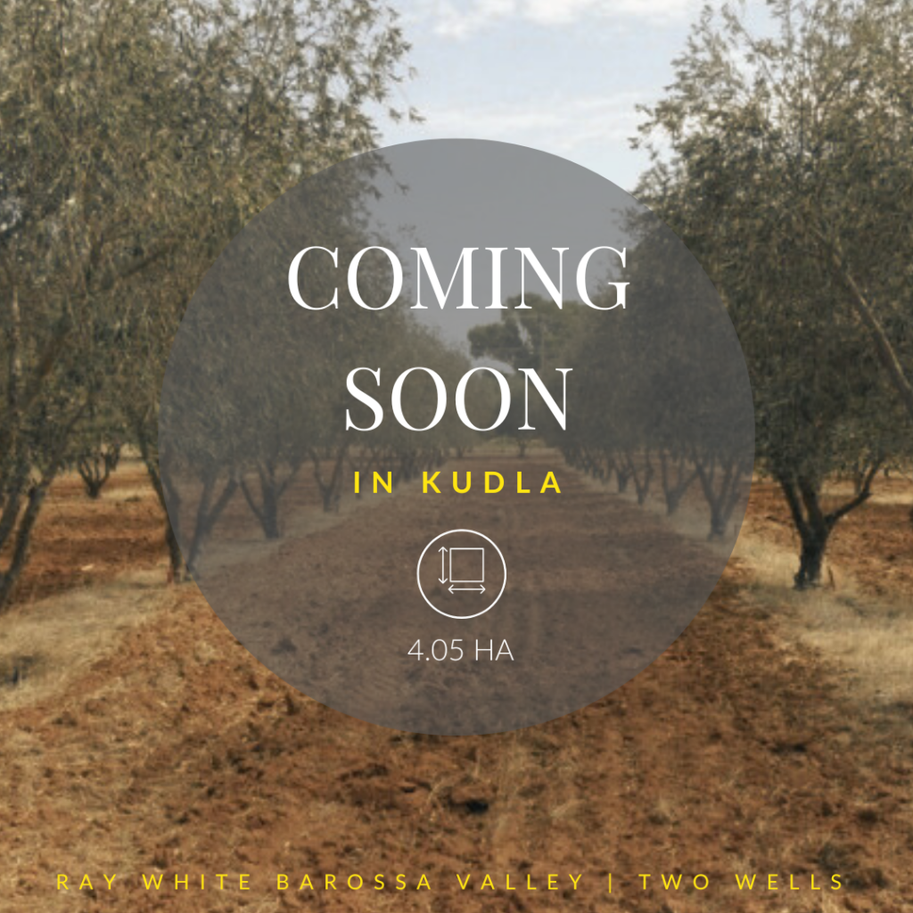 1 Coming Soon, Kudla, SA 5115