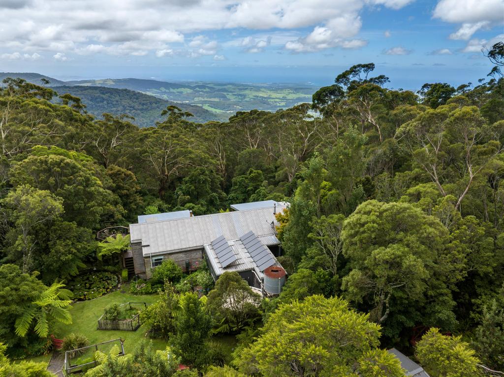 1002 Jamberoo Mountain Rd, Jamberoo, NSW 2533