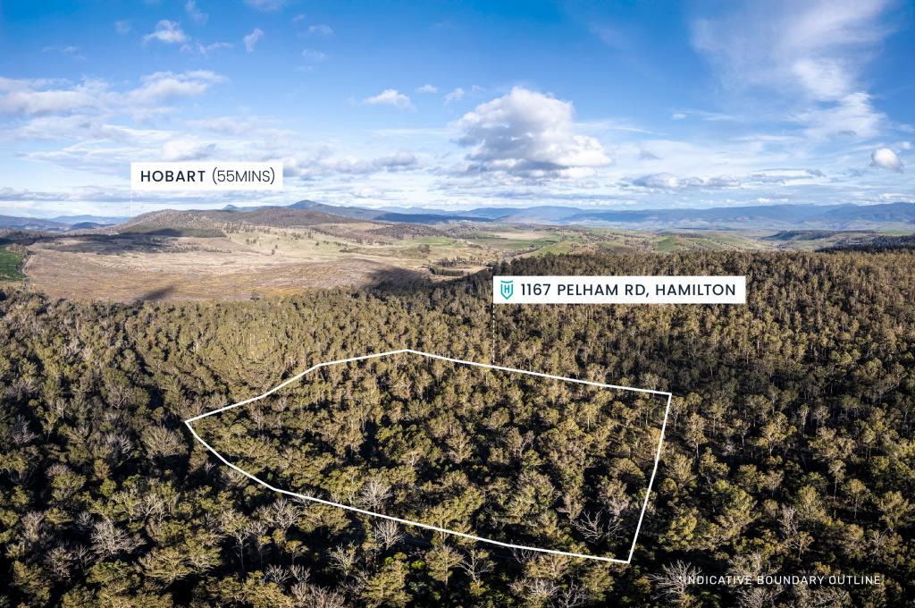 1167 Pelham Rd, New Norfolk, TAS 7140