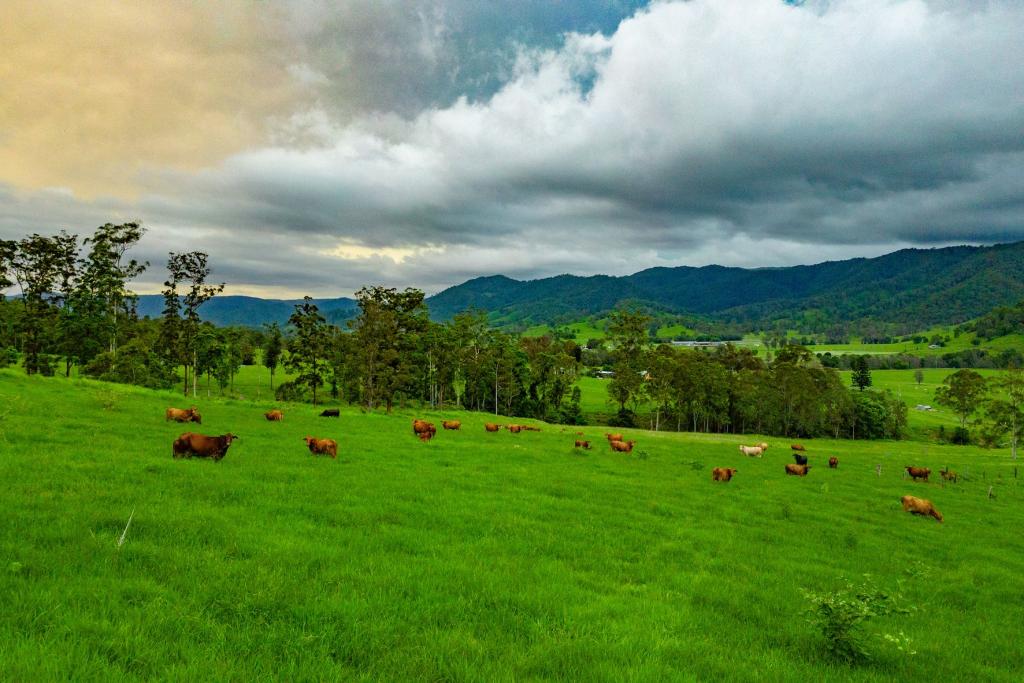 CIELO VERDE ACRES/922 EASTERN MARY RIVER RD, CAMBROON, QLD 4552