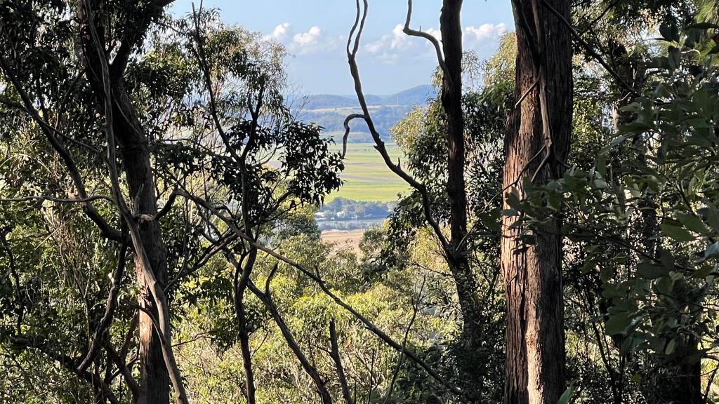 35 Robcole Rd, North Tumbulgum, NSW 2490