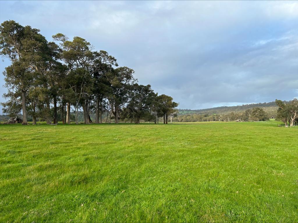  Mccarthy Road, Cookernup, WA 6219