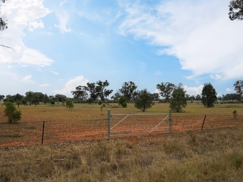 Dp 755113 Tullamore Rd, Peak Hill, NSW 2869