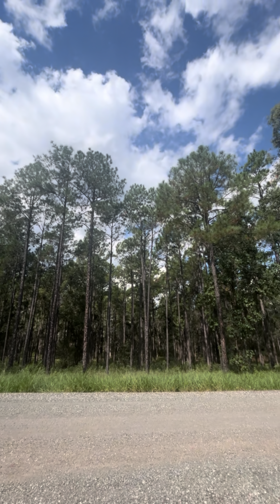 Lot 86 Arborfour Rd, Glenwood, QLD 4570