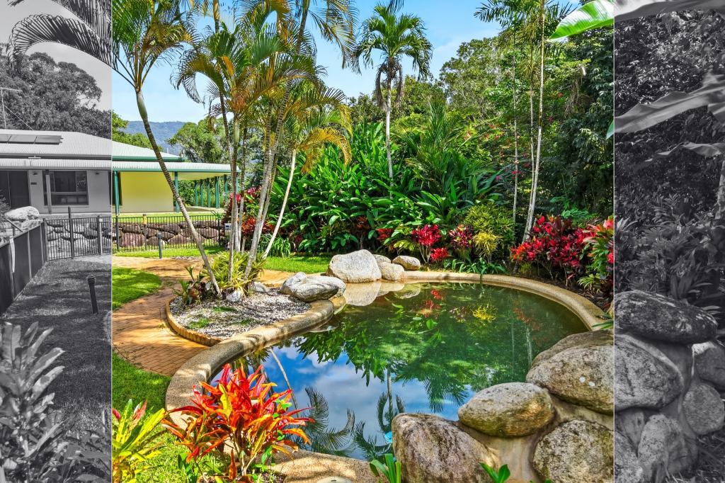 46 Gallet Rd, Little Mulgrave, QLD 4865