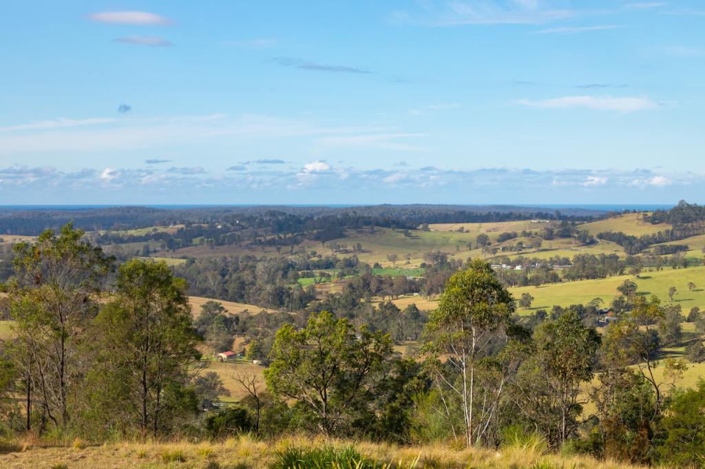 Lot 22 Barrabaroo Rd, Cobargo, NSW 2550