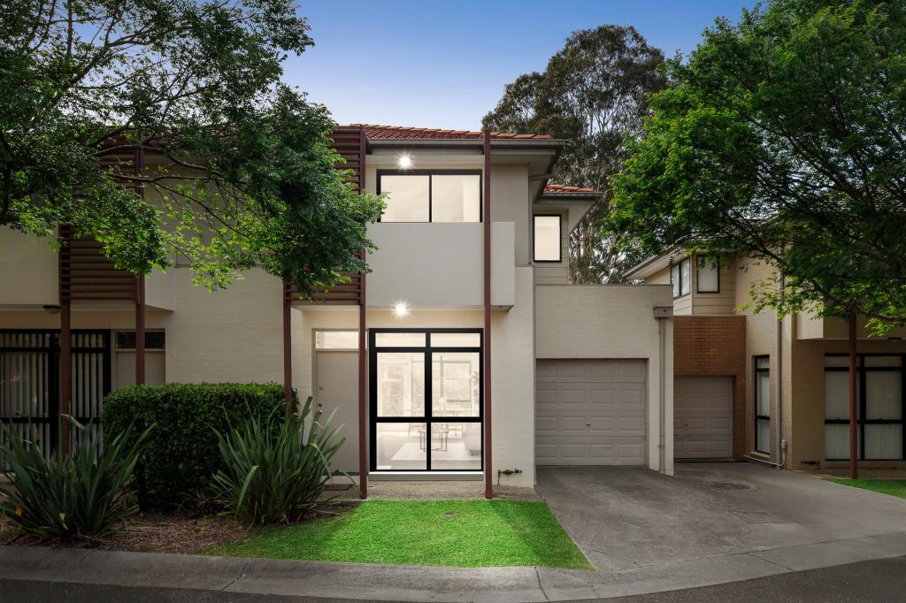 16 BRUSHBOX CT, CLAYTON, VIC 3168