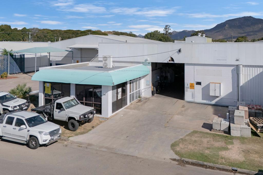 25 Fleming St, Aitkenvale, QLD 4814