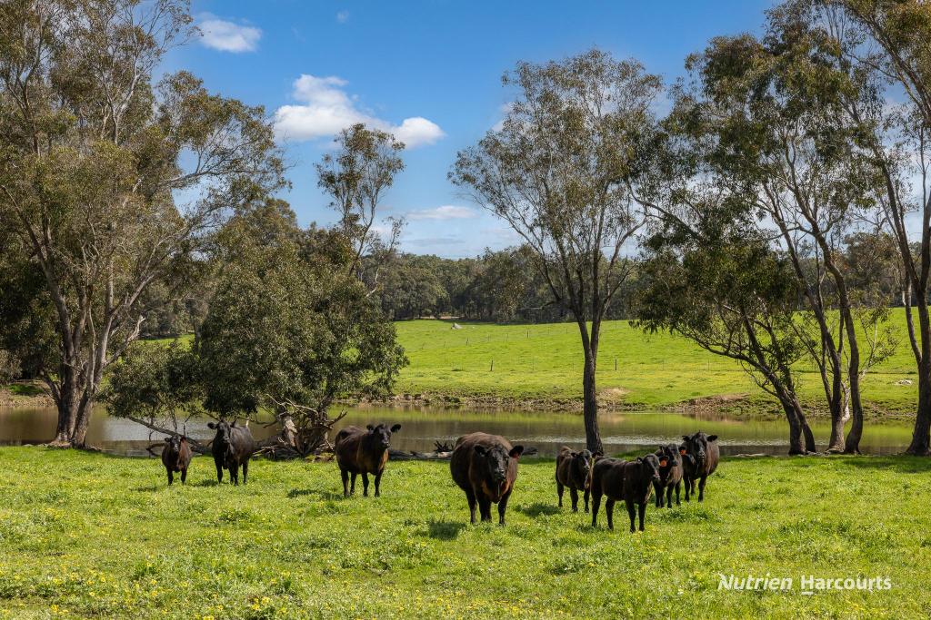 Lot 100 Yarri Rd, Wilgarrup, WA 6258