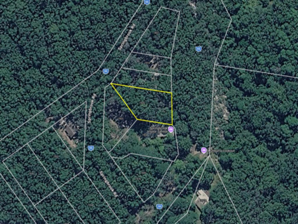 1920 Springbrook Rd, Springbrook, QLD 4213