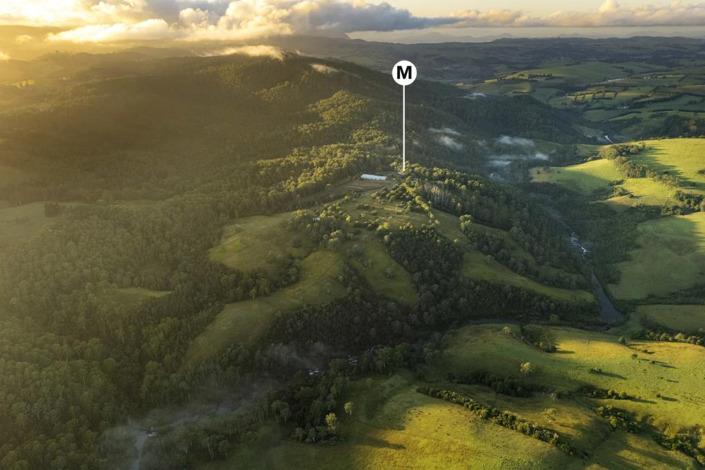 326 BILLINGS RD, TALLOWWOOD RIDGE, NSW 2453