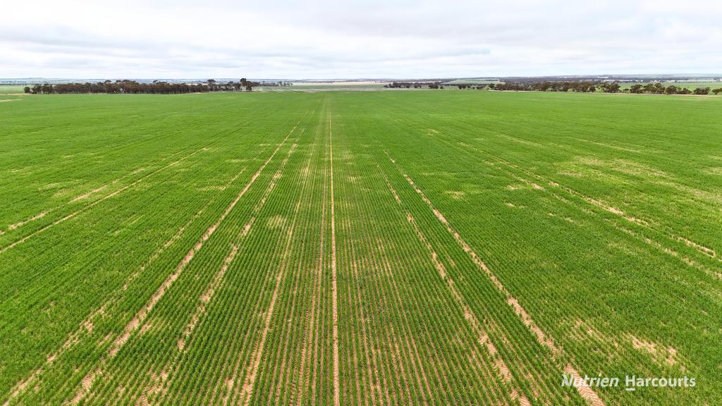 85 Four Mile Gate Rd, Walgoolan, WA 6422