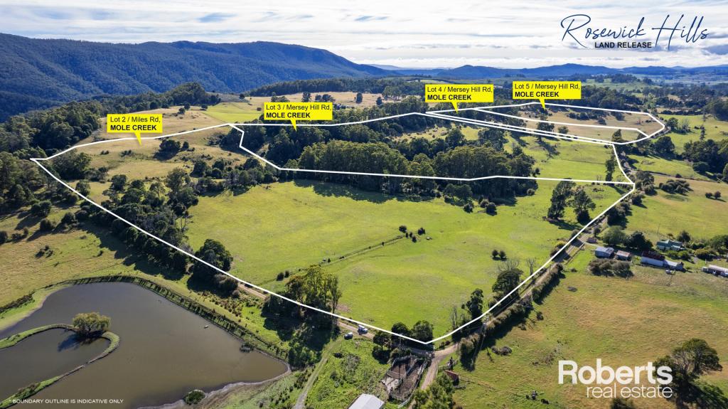 LOT 2 - 5 MILES ROAD & MERSEY HILL ROAD, MOLE CREEK, TAS 7304