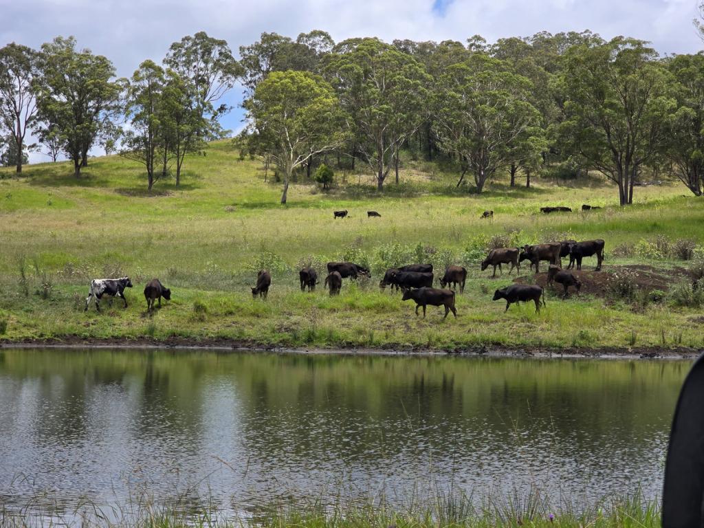 Lot 2 Ravensbourne Dip Rd, Ravensbourne, QLD 4352