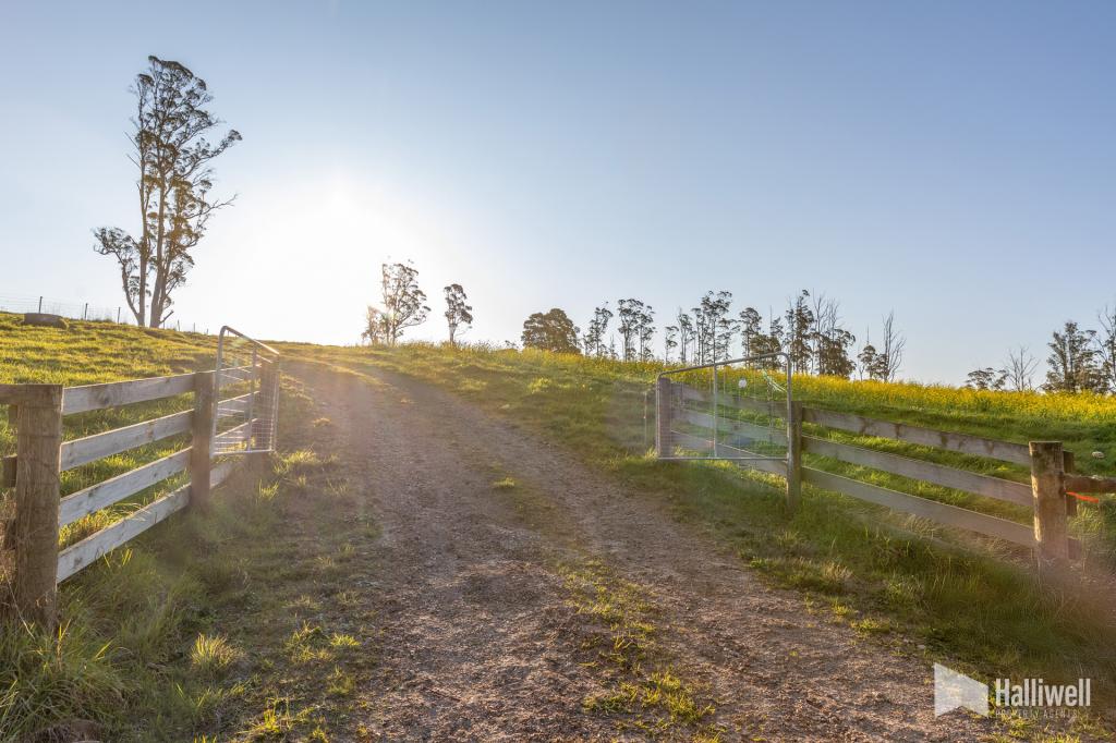  Maloneys Rd, Sunnyside, TAS 7305