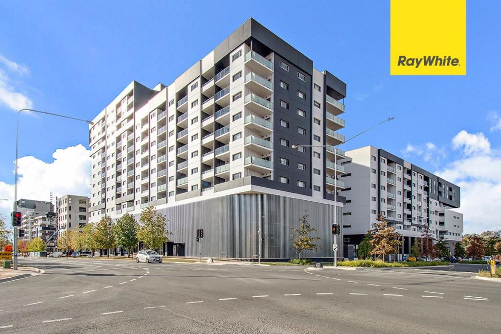 343/325 Anketell St, Greenway, ACT 2900