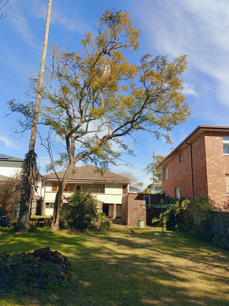 5 Buffalo Rd, Gladesville, NSW 2111