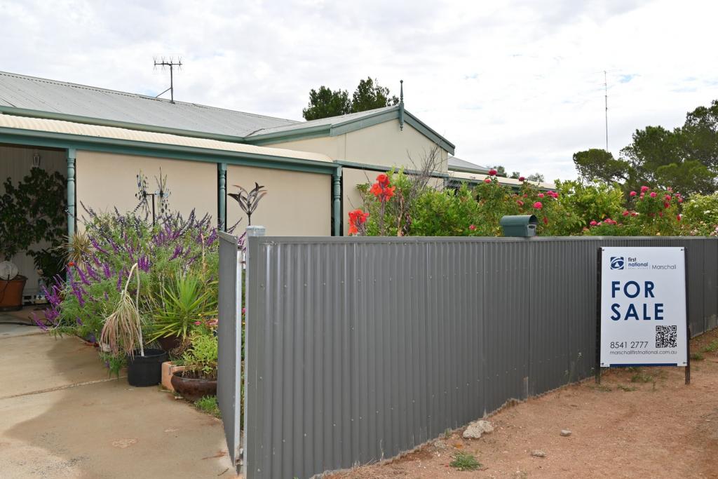 6 Gouge St, Morgan, SA 5320