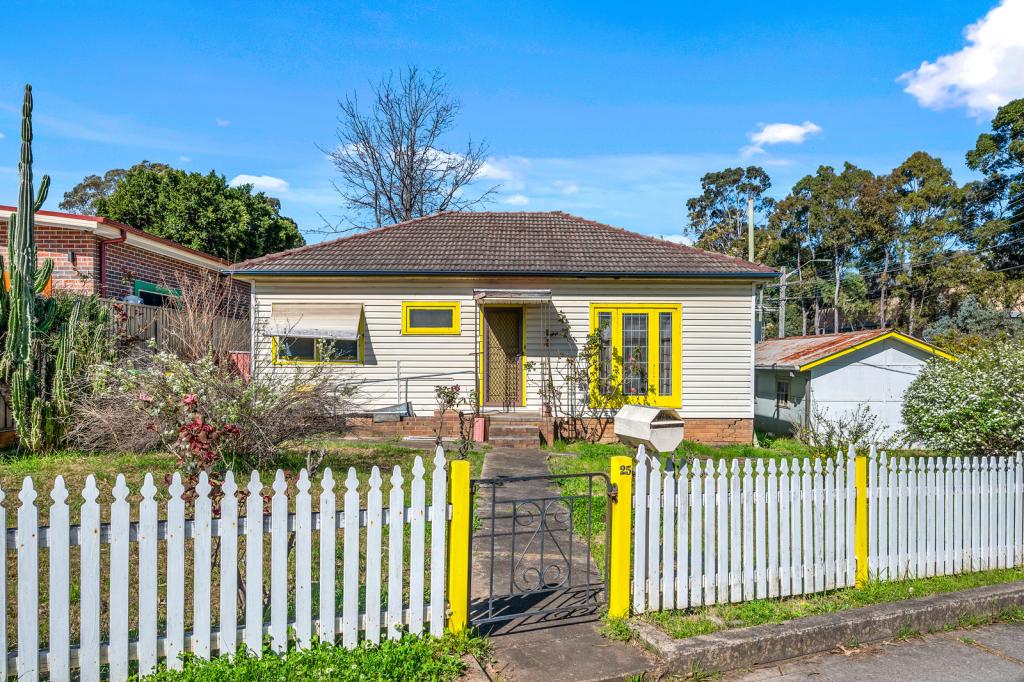 25 Curtis Rd, Chester Hill, NSW 2162