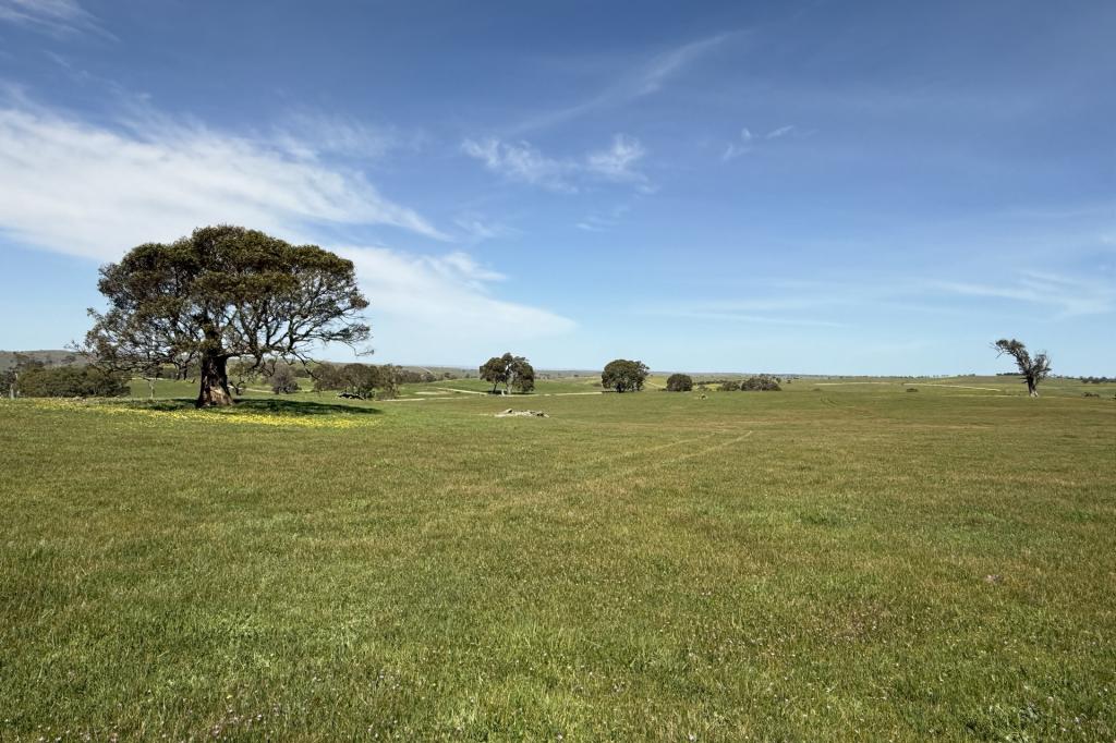 Lot 115 Mcgormans Rd, Tungkillo, SA 5236