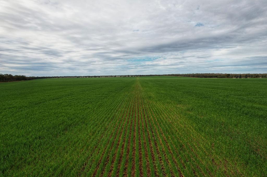 4719 Tabratong Crossing Rd, Tottenham, NSW 2873