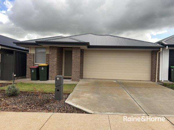 62 Hayfield Ave, Blakeview, SA 5114