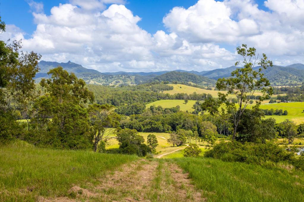 LOT 101 BEITIBOMBI CREEK RD, WHERROL FLAT, NSW 2429