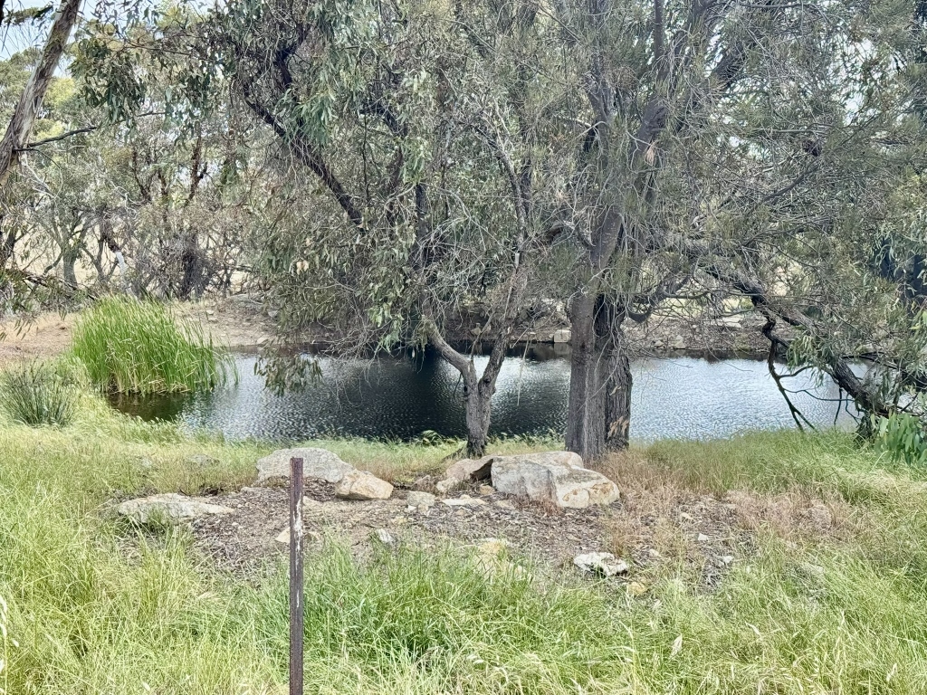 Lot 12 Young Rd, Gwambygine, WA 6302