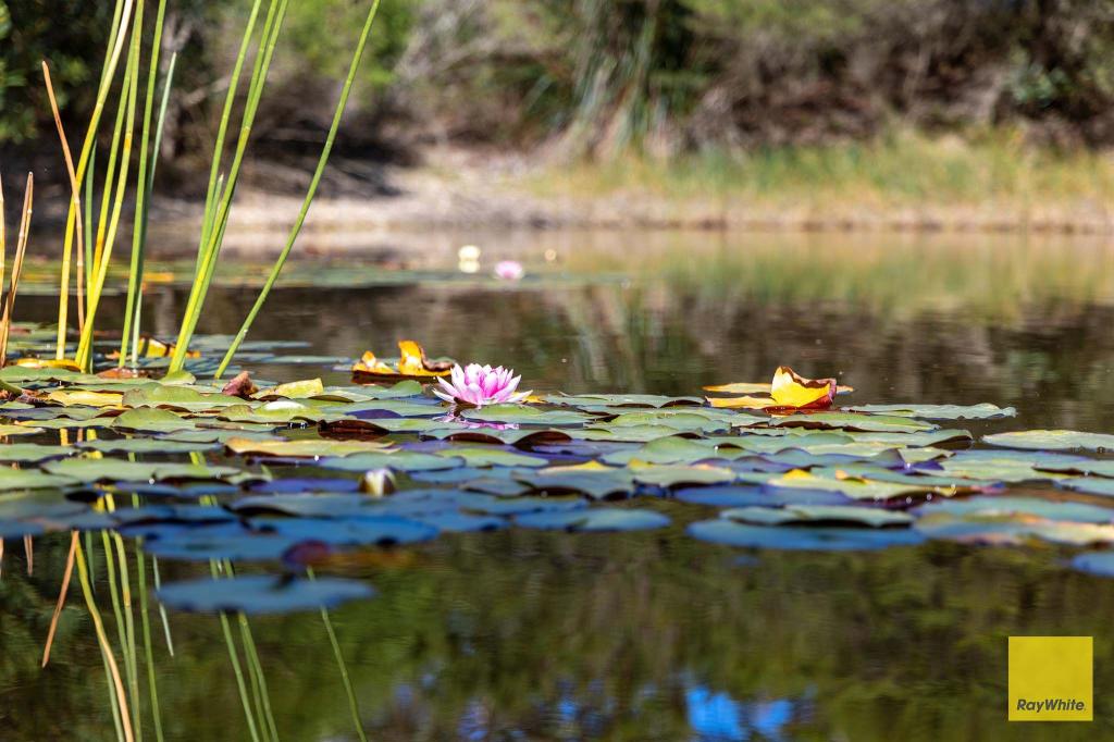 15 Shellcott Rd, Yanakie, VIC 3960