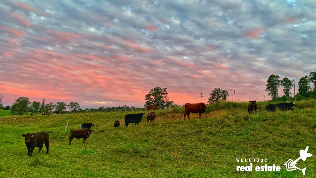 1024 Pappinbarra Rd, Pappinbarra, NSW 2446
