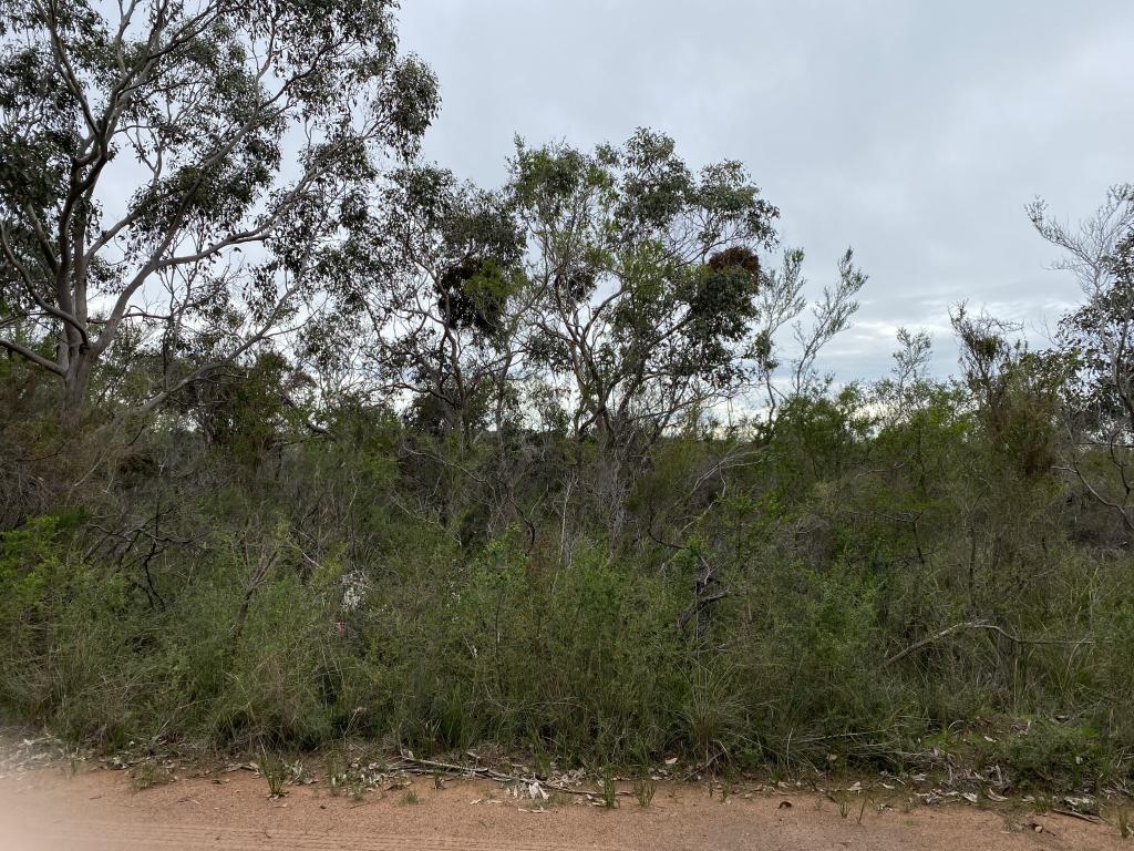 VARIOUS LOTS TANKERTON RD, FRENCH ISLAND, VIC 3921