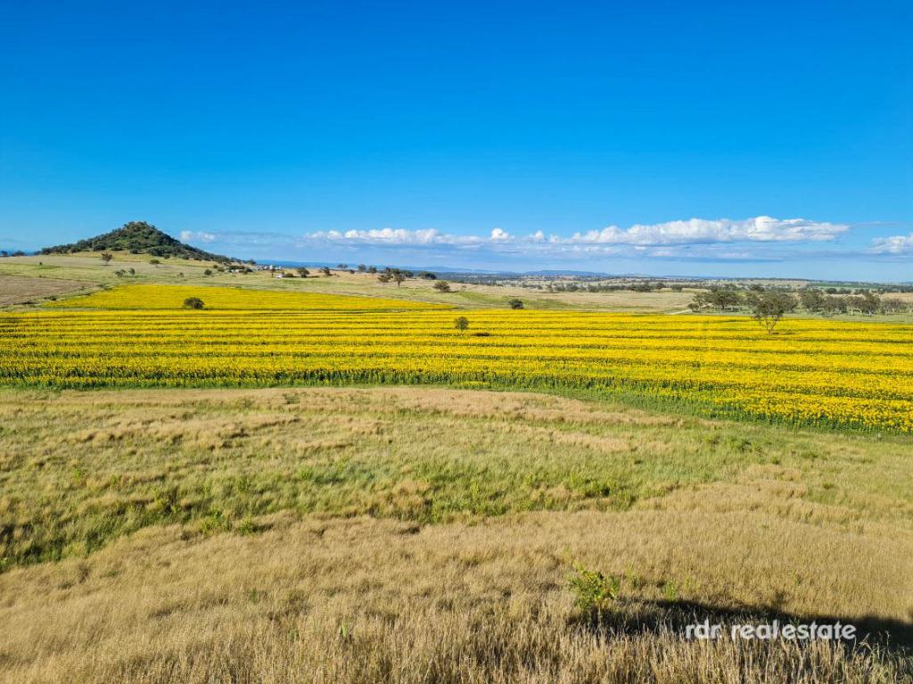 2335 Glenesk Rd, Delungra, NSW 2403