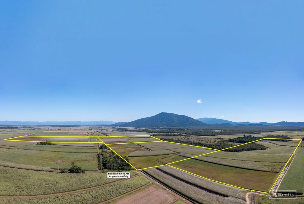 44 KELLY RD, LOWER TULLY, QLD 4854