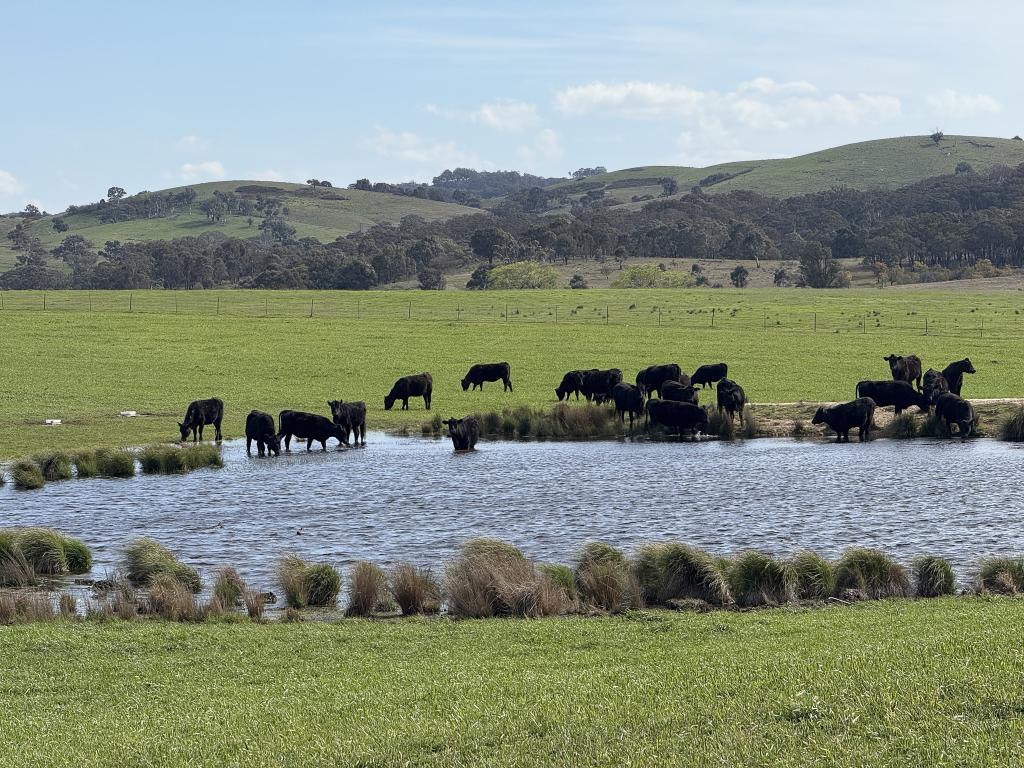 569 & 640 Blakney Creek North Rd, Blakney Creek, NSW 2581