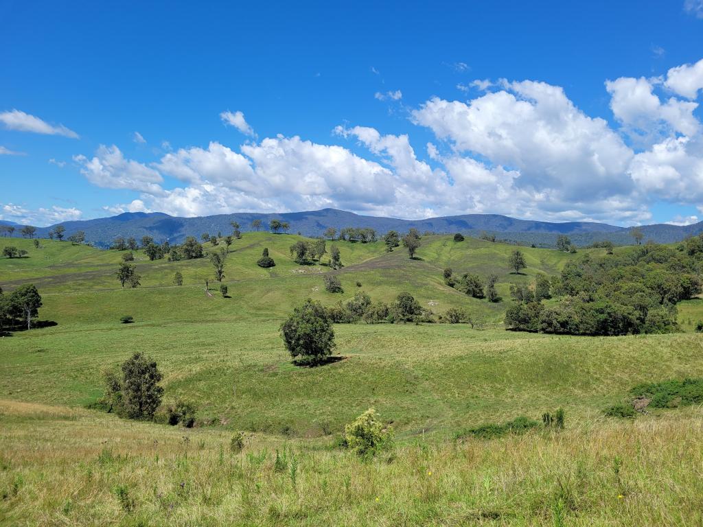 Lot 2 Neringla Rd, Neringla, NSW 2622